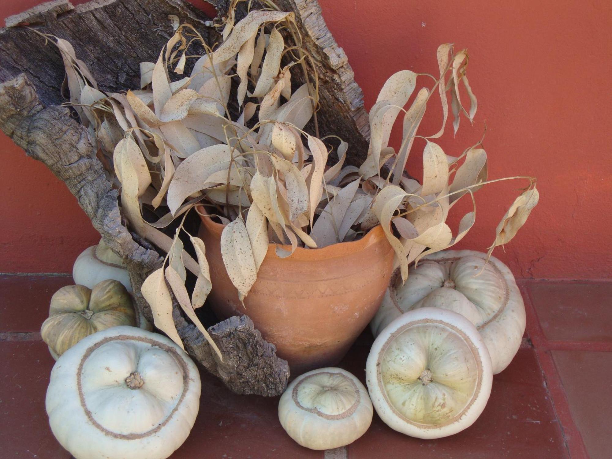 Verdemar Cercal do Alentejo Екстер'єр фото